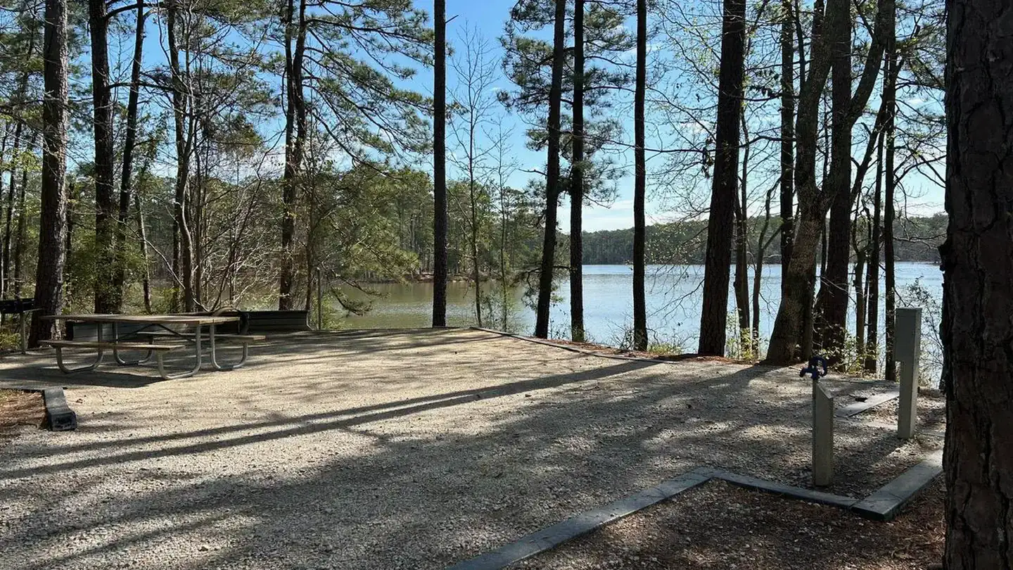 Camper-submitted photo at Modoc - J Strom Thurmond Lake near Augusta, GA