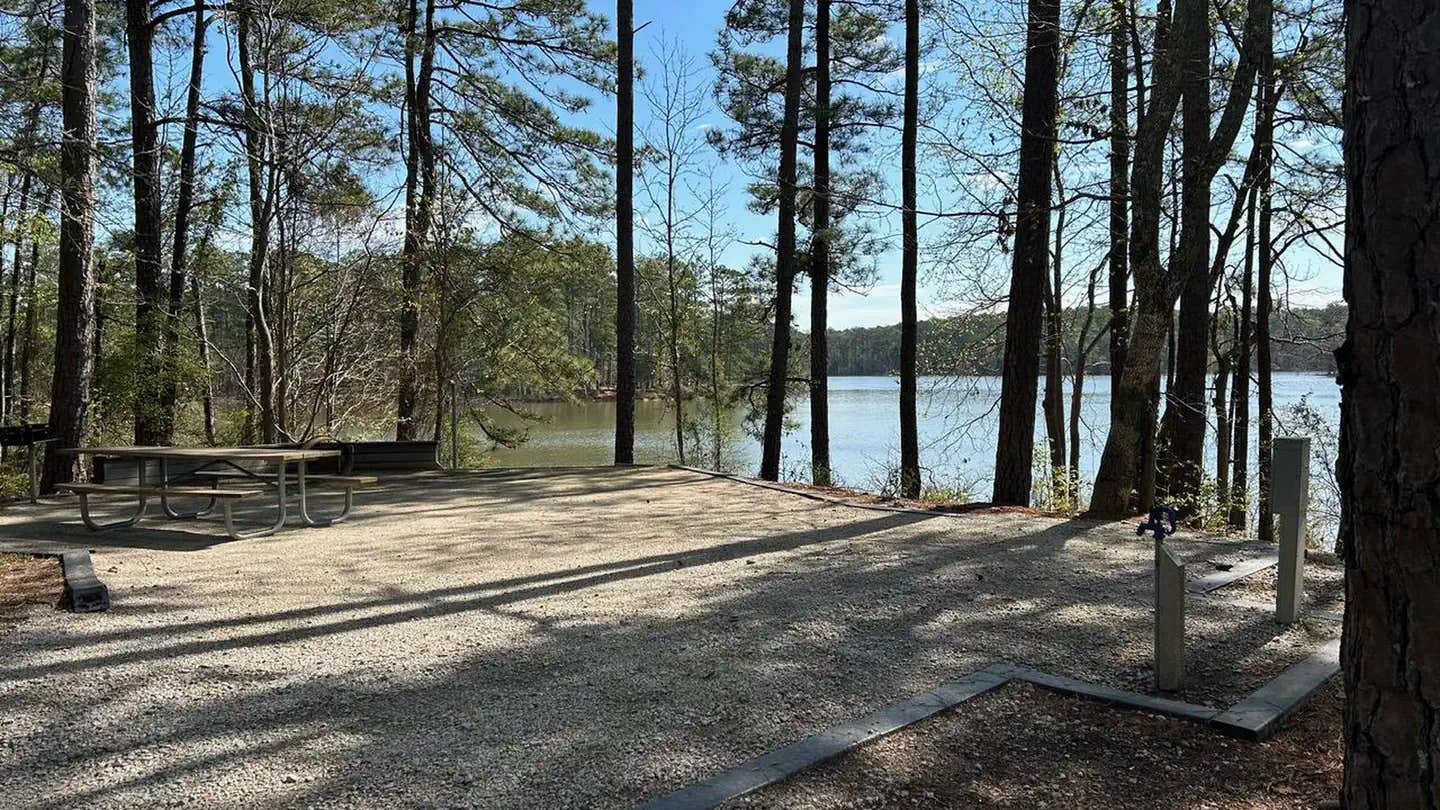 Camper submitted image from Modoc - J Strom Thurmond Lake - 1