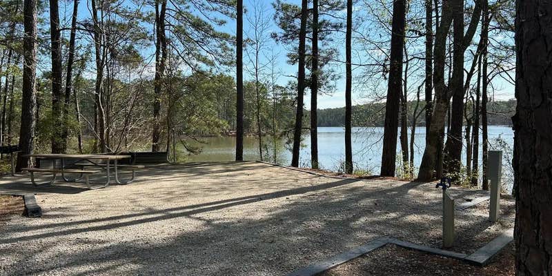 Camper submitted image from Modoc - J Strom Thurmond Lake