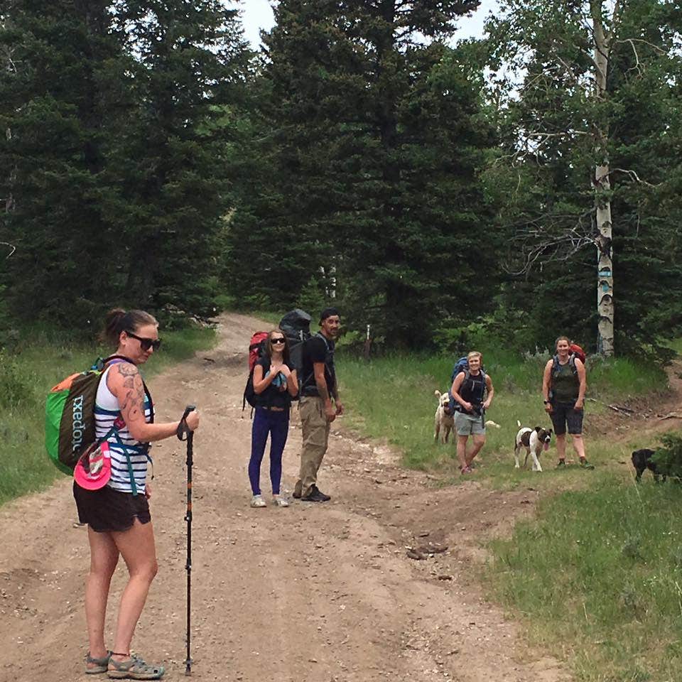 Camper submitted image from Grizzly Ridge Yurt - 5