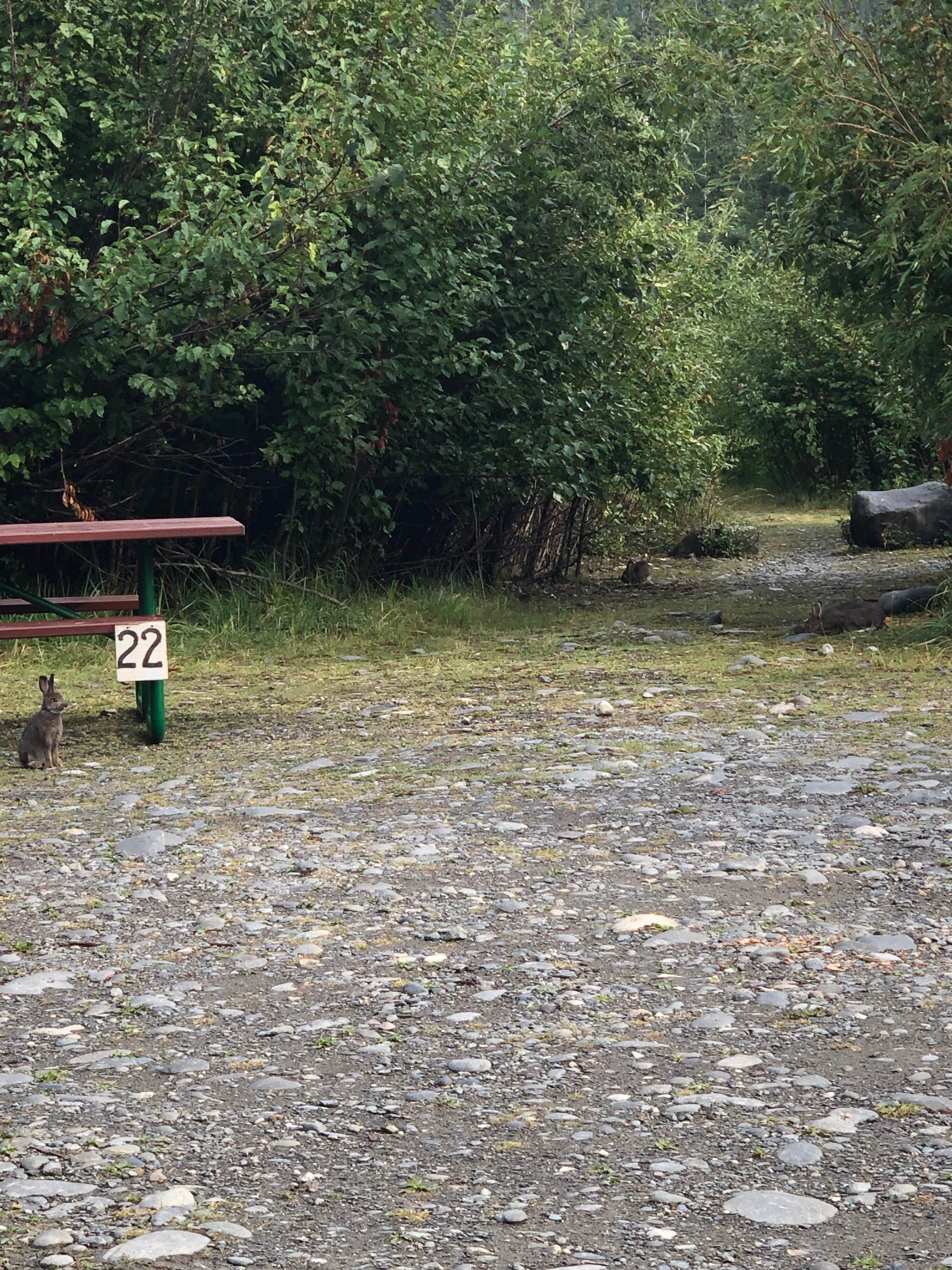 Camper-submitted photo at Squirrel Creek State Recreation Site near Chitina, AK