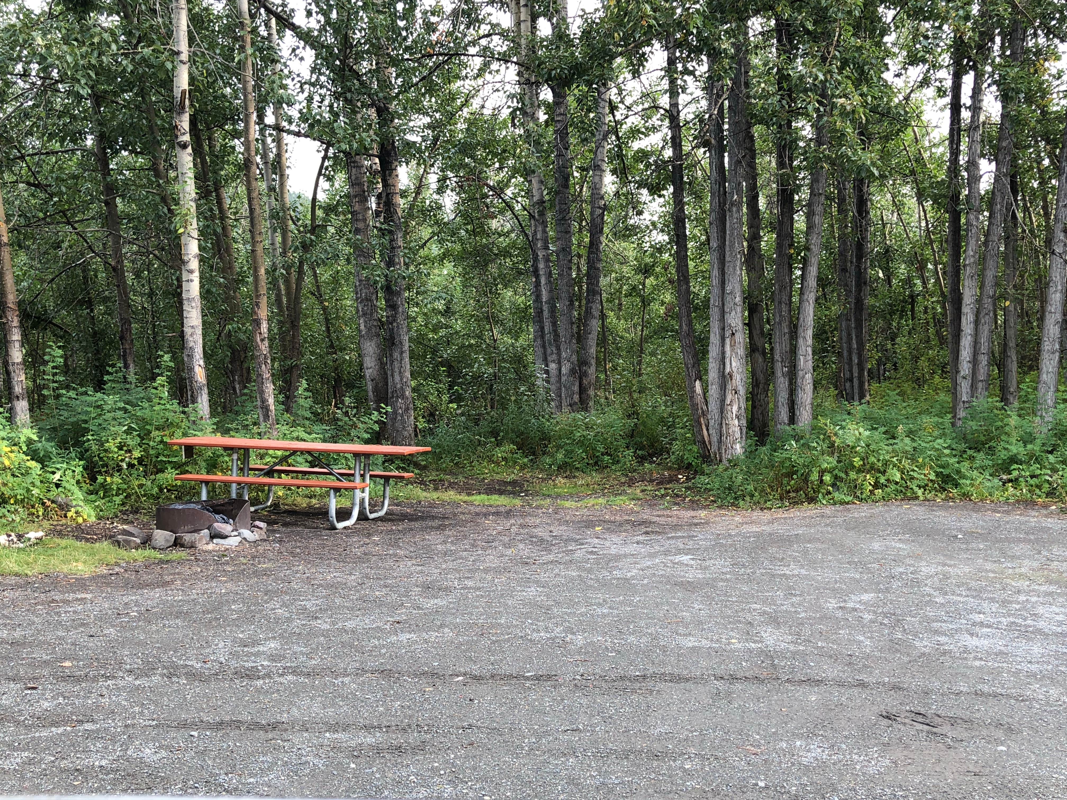 Camper-submitted photo at Squirrel Creek State Recreation Site near Chitina, AK
