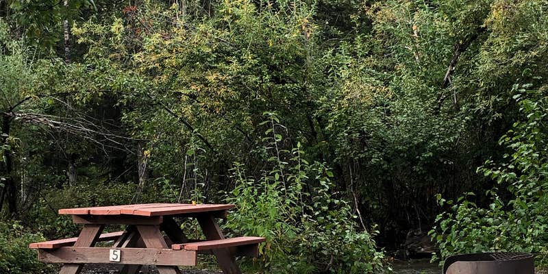 Camper submitted image from Squirrel Creek State Recreation Site