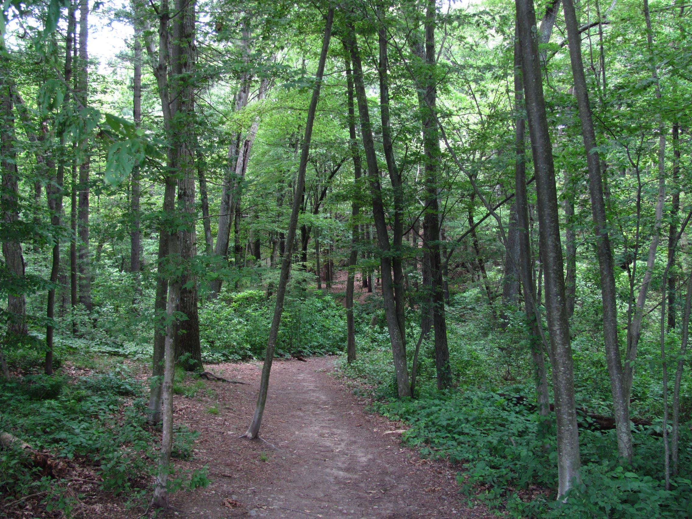 Nature