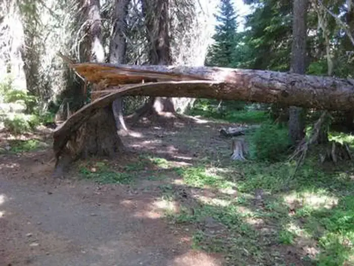 Camper-submitted photo at Little Crater Lake near Government Camp, OR