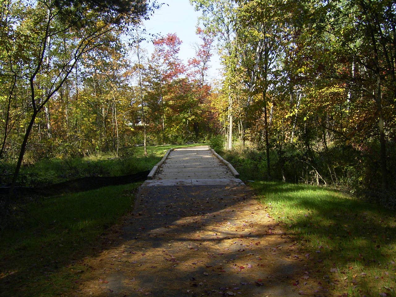 Camper submitted image from Southaven County Park - 5