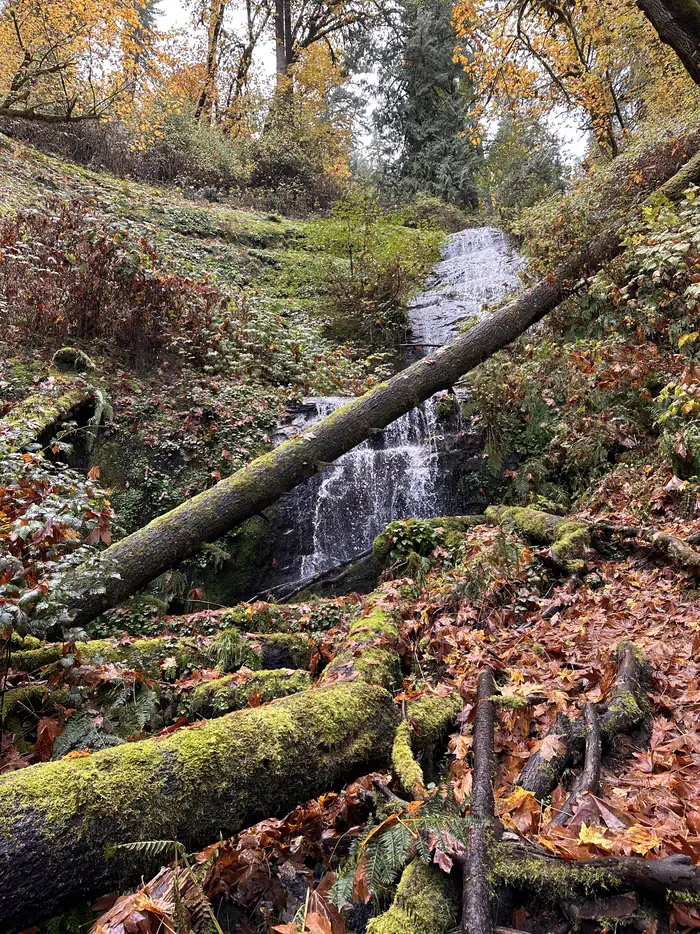 Camping near Sawyers Rapids RV Resort: Loon Lake Recreation Site, Scottsburg, Oregon