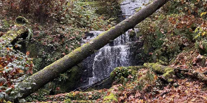 Camper submitted image from Loon Lake Recreation Site