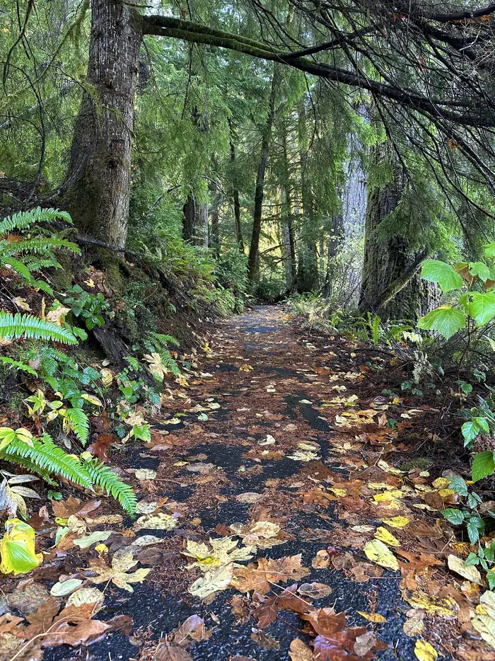 Camper-submitted photo at Loon Lake Recreation Site near Scottsburg, OR