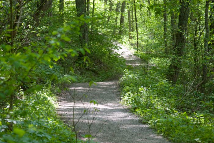 Camper submitted image from Southaven County Park - 2