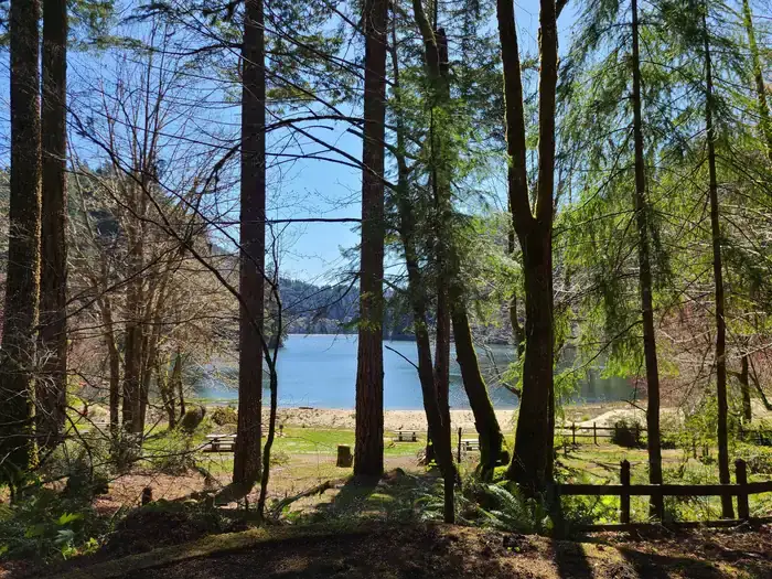 Camper-submitted photo at Loon Lake Recreation Site near Scottsburg, OR