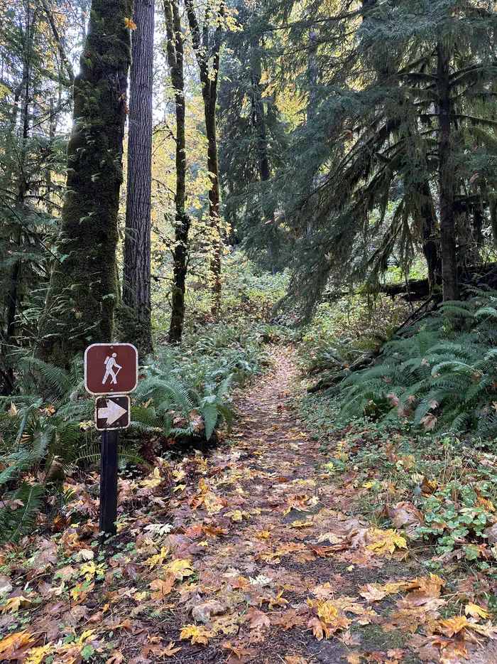 Camper-submitted photo at Loon Lake Recreation Site near Scottsburg, OR