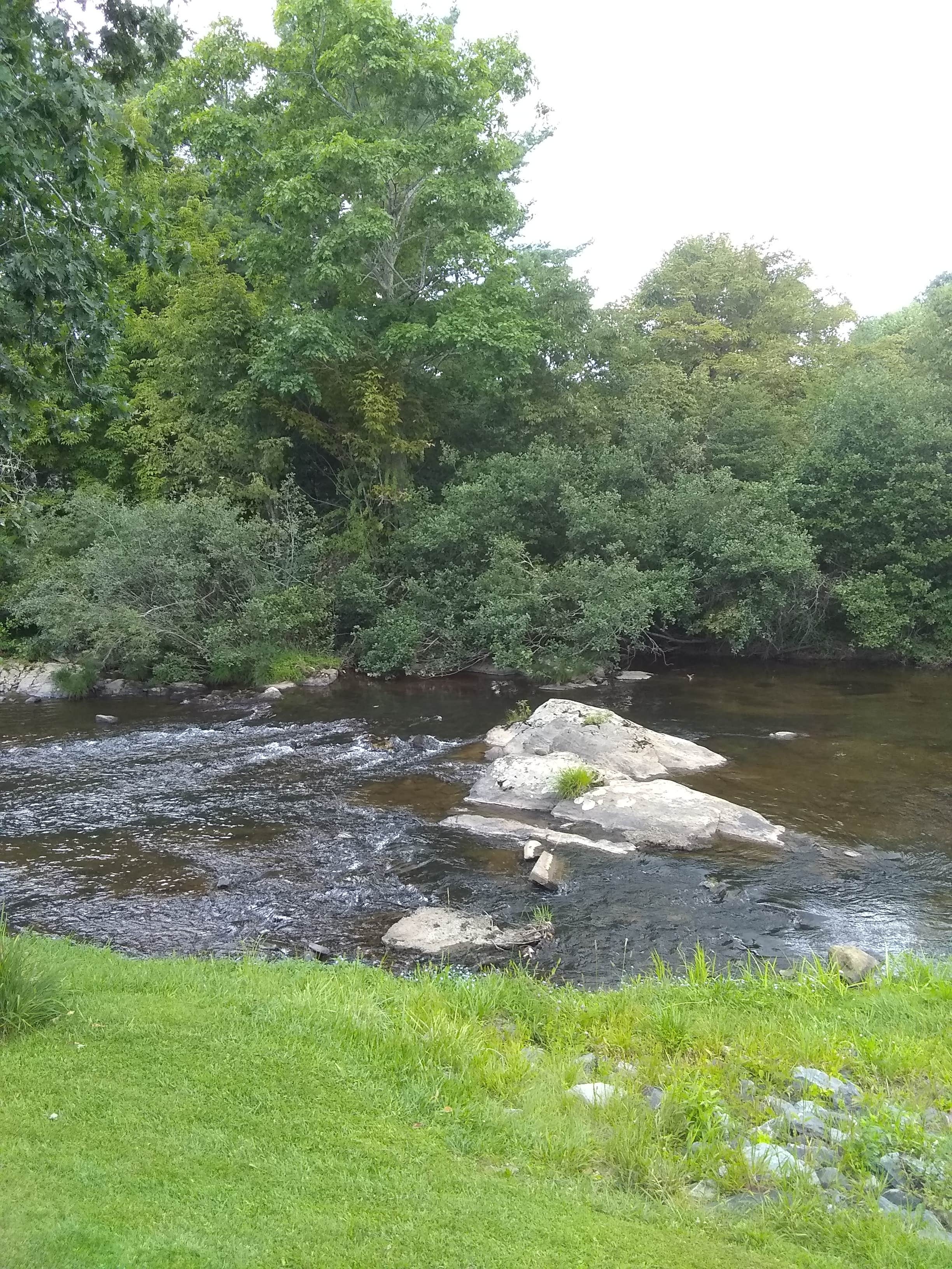 Camper-submitted photo at Down by the River Campground - 55+ near Pineola, NC
