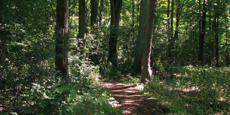 Camper submitted image from Southaven County Park