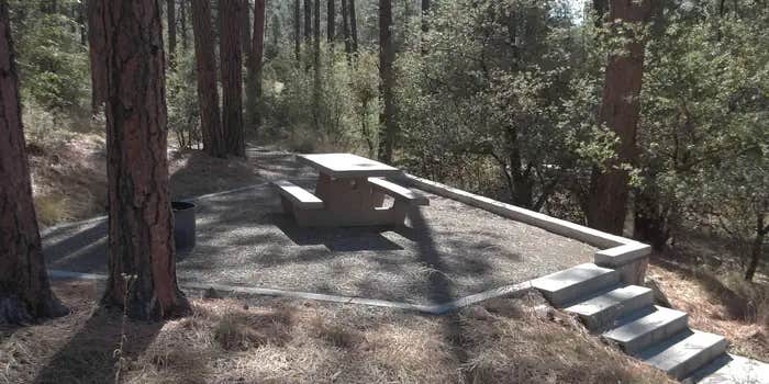 Camper submitted image from White Spar Campground