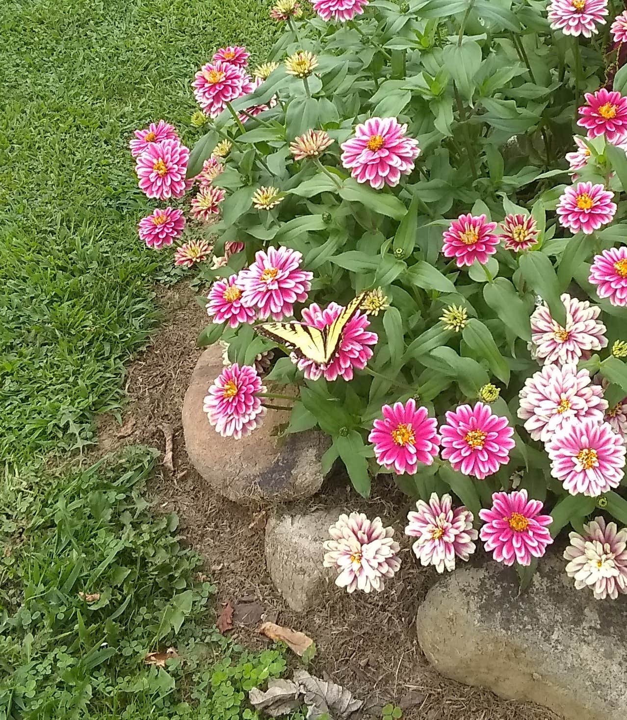 Camper-submitted photo at Down by the River Campground - 55+ near Pineola, NC