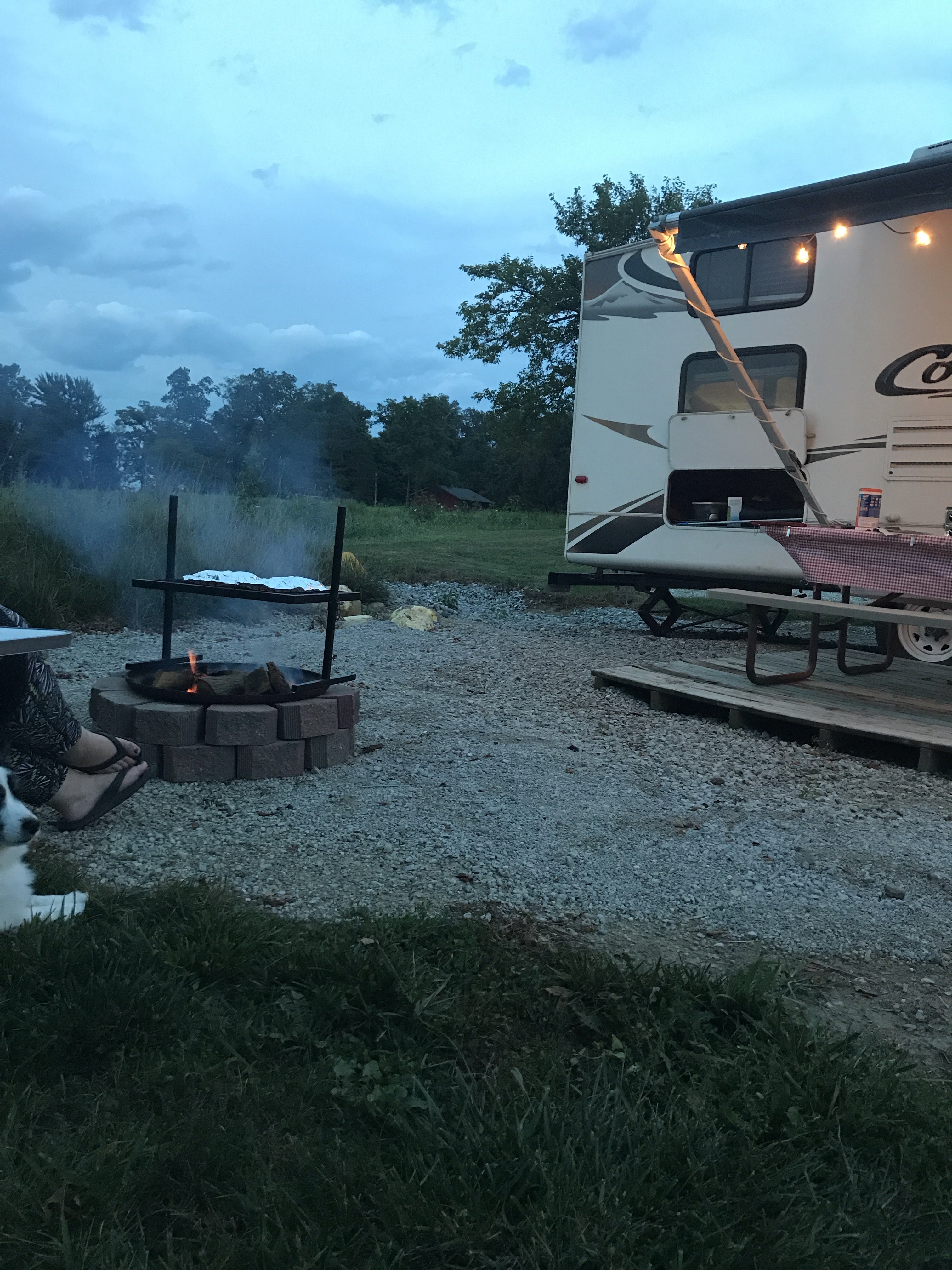 Cooking on the fire