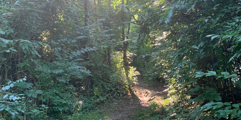 Camper submitted image from Summit Lake State Park Campground