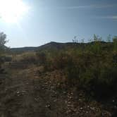 Review photo of Owyhee River - Below Dam - Owyhee Dam Park by Andy S., August 19, 2019