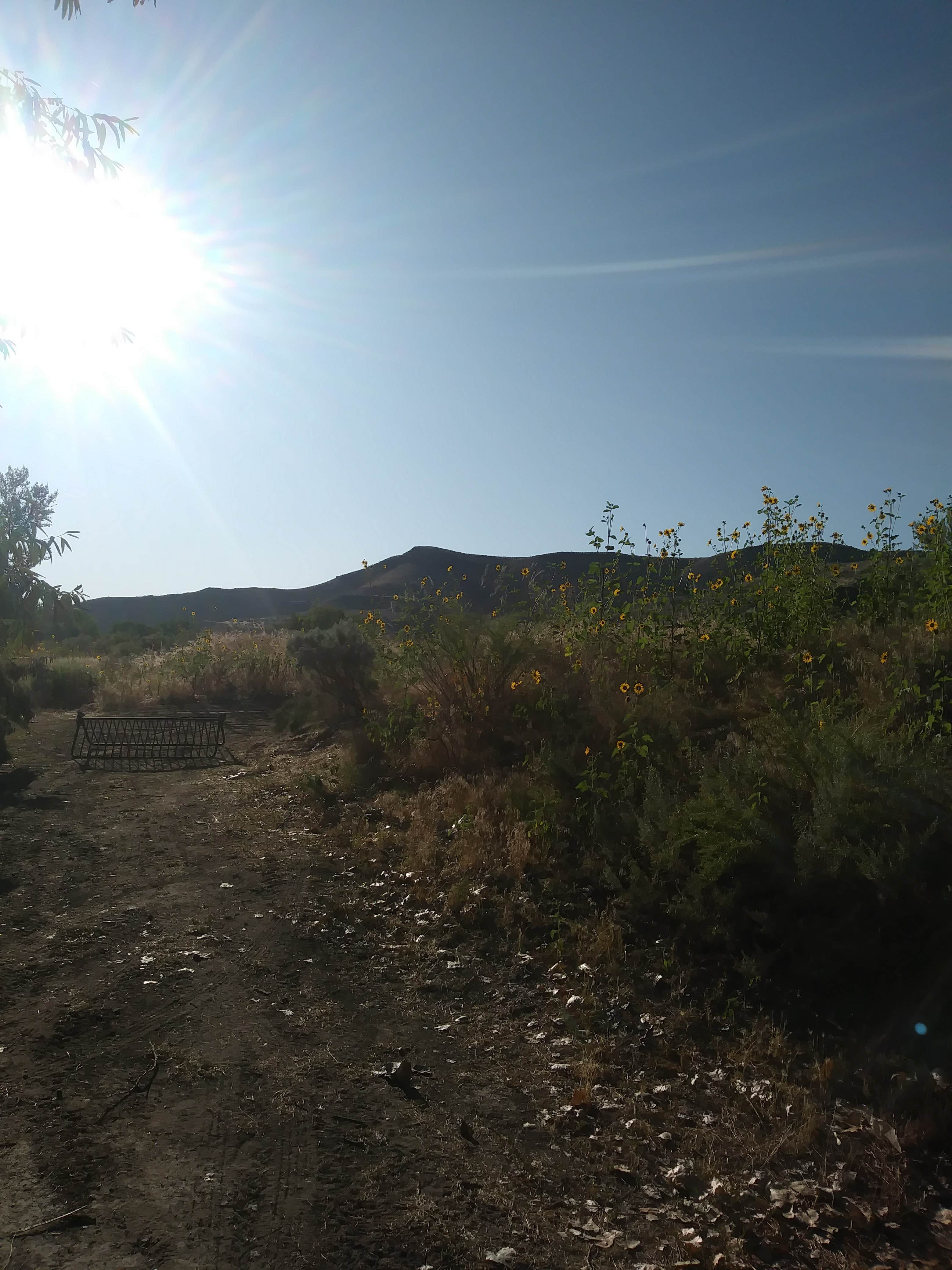 Camper submitted image from Owyhee River - Below Dam - Owyhee Dam Park - 3