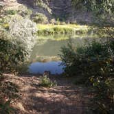 Review photo of Owyhee River - Below Dam - Owyhee Dam Park by Andy S., August 19, 2019