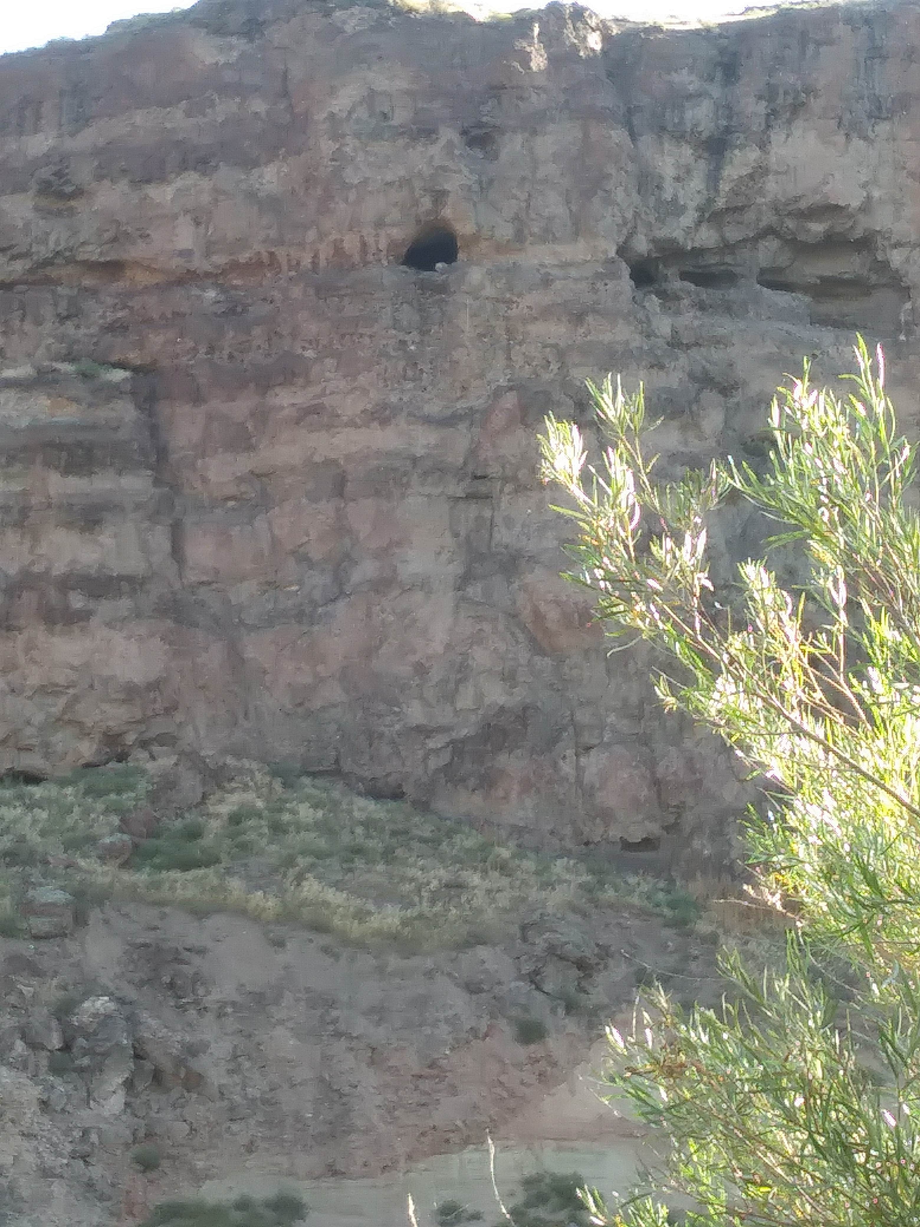Camper-submitted photo at Owyhee River - Below Dam - Owyhee Dam Park near Adrian, OR