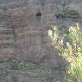 Review photo of Owyhee River - Below Dam - Owyhee Dam Park by Andy S., August 19, 2019