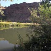 Review photo of Owyhee River - Below Dam - Owyhee Dam Park by Andy S., August 19, 2019