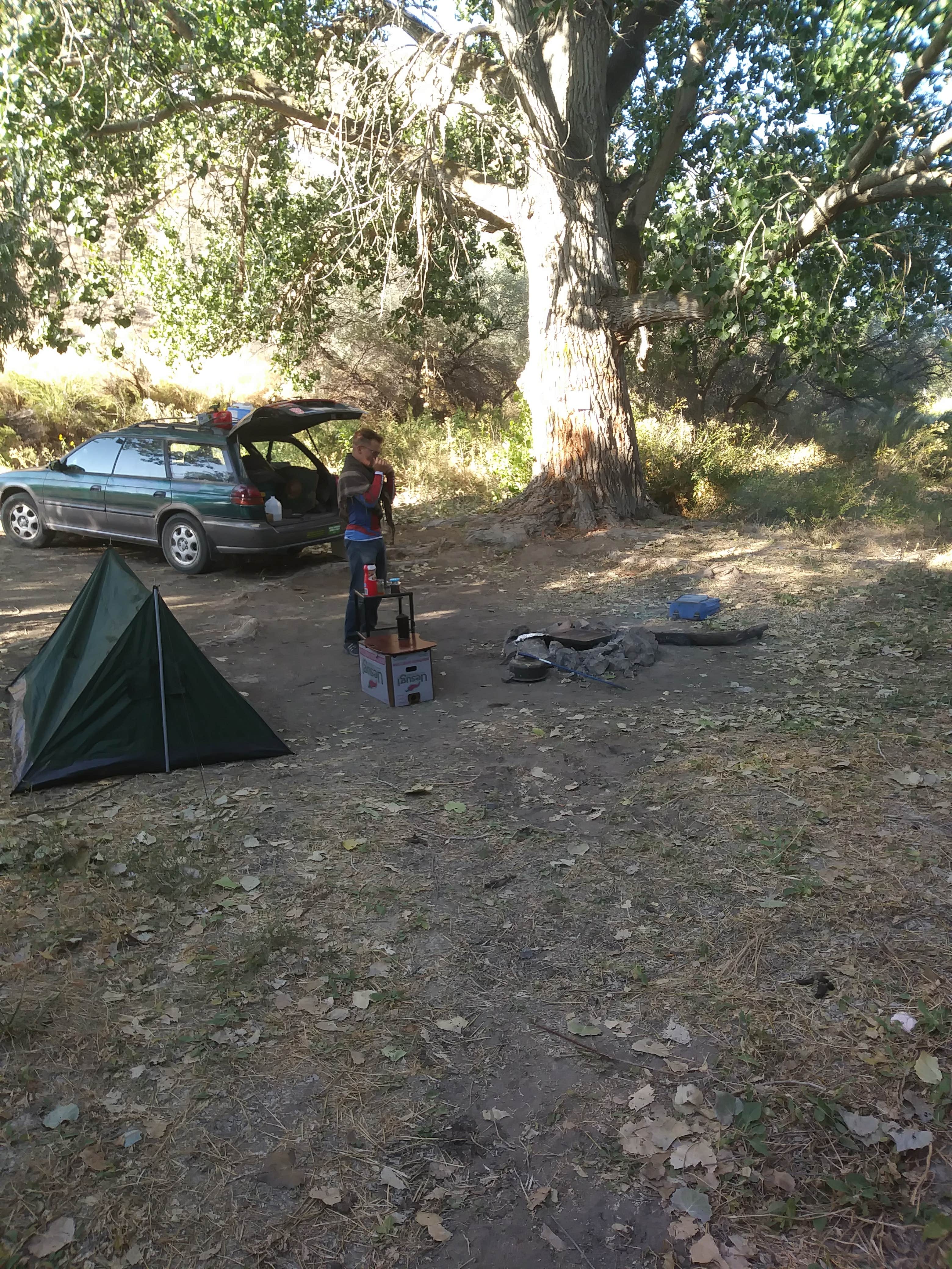 Andy S.'s photo of a dispersed camping area at Owyhee River - Below Dam - Owyhee Dam Park near Star, ID