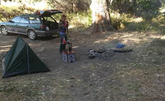 Andy S.'s photo of a dispersed camping area at Owyhee River - Below Dam - Owyhee Dam Park near Nampa, ID