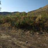 Review photo of Owyhee River - Below Dam - Owyhee Dam Park by Andy S., August 19, 2019