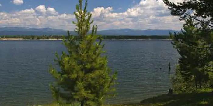 Camper submitted image from Amanita