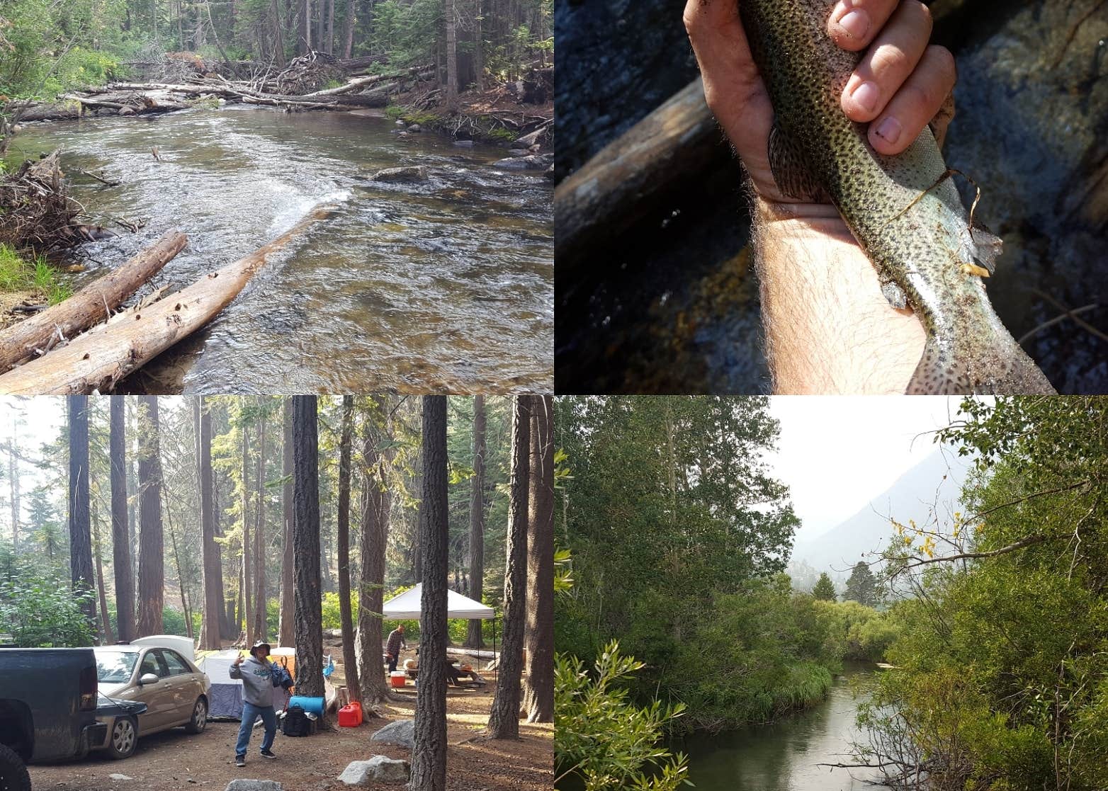 Big Bend Campground Camping The Dyrt