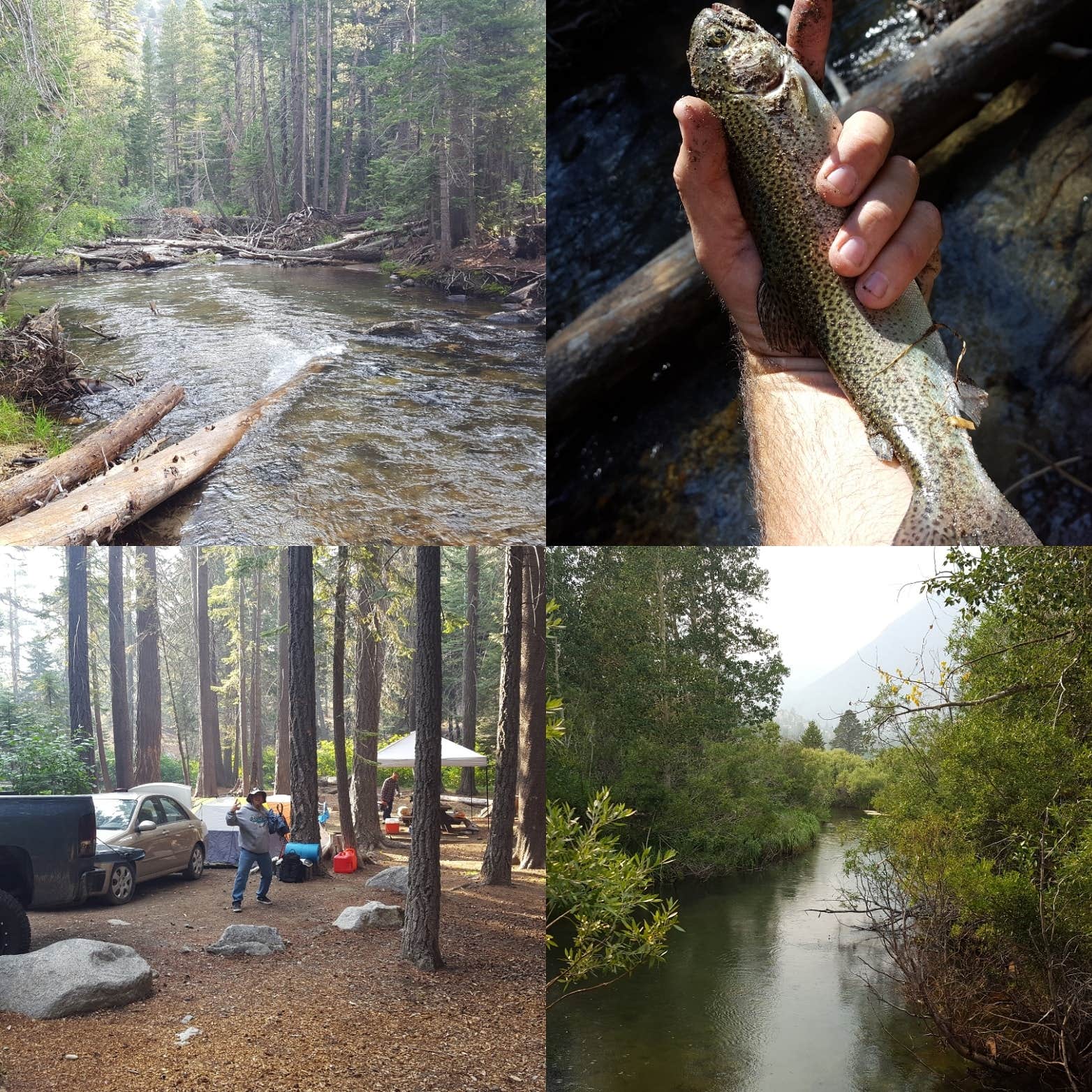 Big Bend Campground Camping The Dyrt