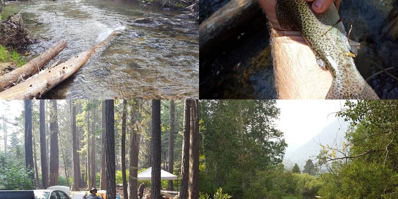 Camper submitted image from Big Bend Campground