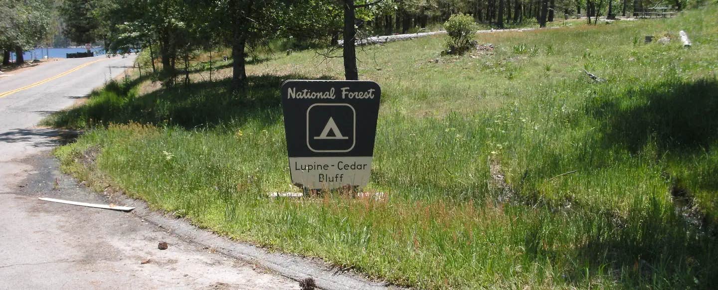 Camper submitted image from Lupine - 1