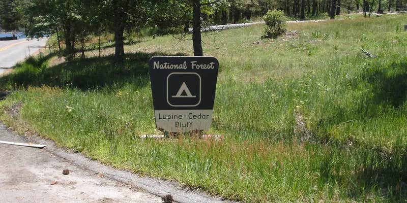 Camper submitted image from Lupine