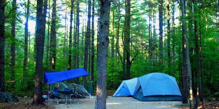 Camper submitted image from Cold River