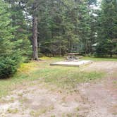 Review photo of Beech Hill Campground and Cabins by Jean C., August 19, 2019