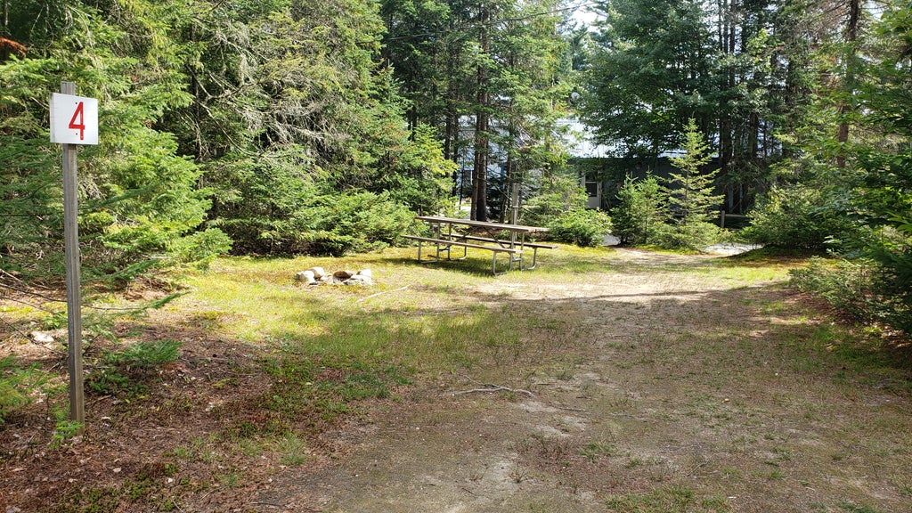 Camper submitted image from Beech Hill Campground and Cabins - 5