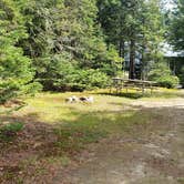 Review photo of Beech Hill Campground and Cabins by Jean C., August 19, 2019