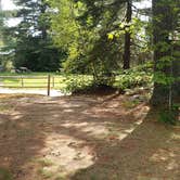 Review photo of Beech Hill Campground and Cabins by Jean C., August 19, 2019