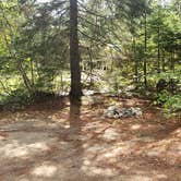 Review photo of Beech Hill Campground and Cabins by Jean C., August 19, 2019