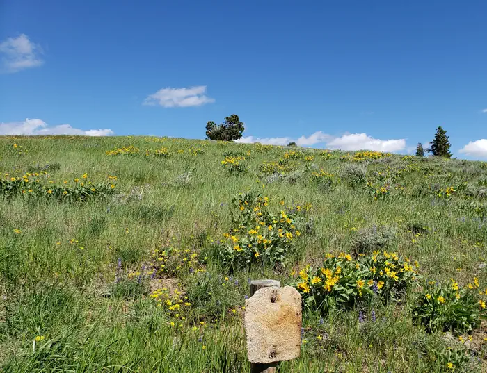 Camper-submitted photo at Bald Butte Lookout near Fremont-Winema National Forest
