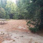 Review photo of Beech Hill Campground and Cabins by Jean C., August 19, 2019