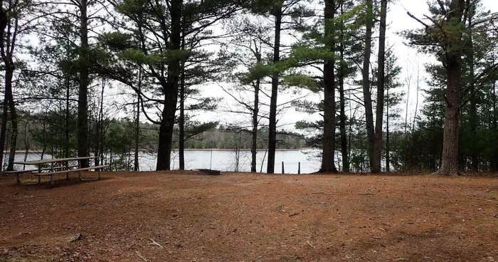 Emily Lake NF Campground