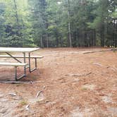 Review photo of Beech Hill Campground and Cabins by Jean C., August 19, 2019