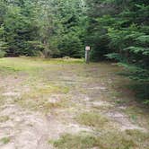 Review photo of Beech Hill Campground and Cabins by Jean C., August 19, 2019