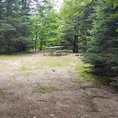 Review photo of Beech Hill Campground and Cabins by Jean C., August 19, 2019