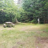 Review photo of Beech Hill Campground and Cabins by Jean C., August 19, 2019